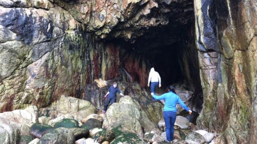 Los garfields de plástico se han lavado en las playas de Francia durante 30 años. ¡El misterio está finalmente resuelto! Los garfields de plástico se han lavado en las playas de Francia durante 30 años. ¡El misterio está finalmente resuelto!