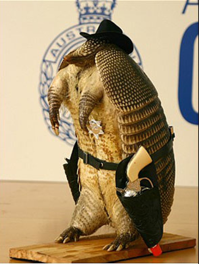 Los hallazgos más inusuales de los funcionarios de aduanas. Los hallazgos más inusuales de los funcionarios de aduanas.