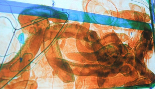 Los hallazgos más inusuales de los funcionarios de aduanas.