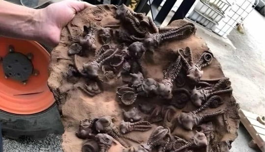 “Los misterios de la historia”: 10 fotografías y datos sorprendentes sobre el pasado