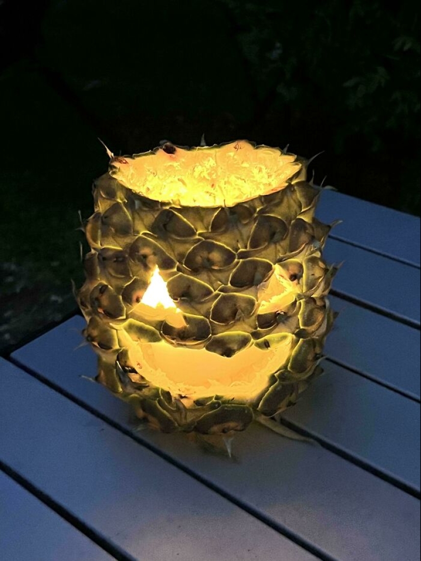 Maravillas de Down Under: 12 cosas únicas de Australia que te harán reír Maravillas de Down Under: 12 cosas únicas de Australia que te harán reír