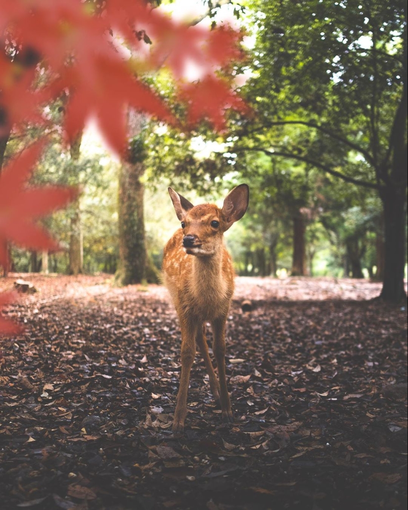 Maravillosas fotos de los viajes de Álvaro Valiente Maravillosas fotos de los viajes de Álvaro Valiente