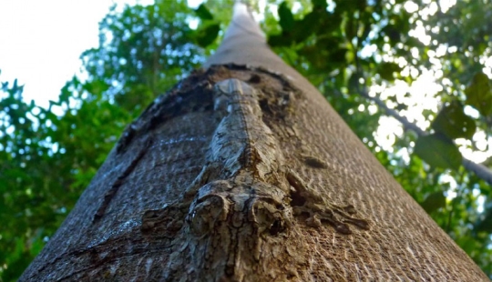 Masking 80 lvl. Art Wolf's photo project "Disappearance"