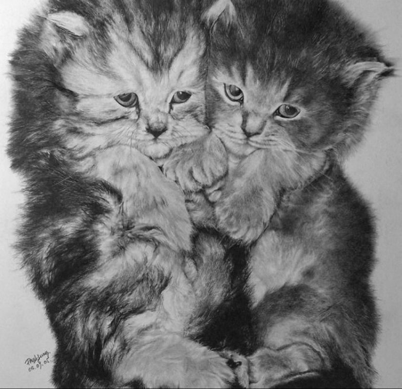 Master of pencil sketch - Paul Lang Master of pencil sketch - Paul Lang