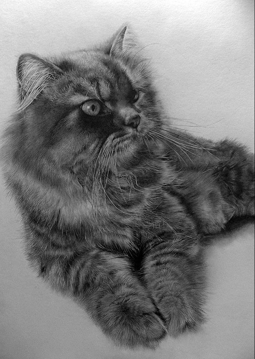Master of pencil sketch - Paul Lang Master of pencil sketch - Paul Lang