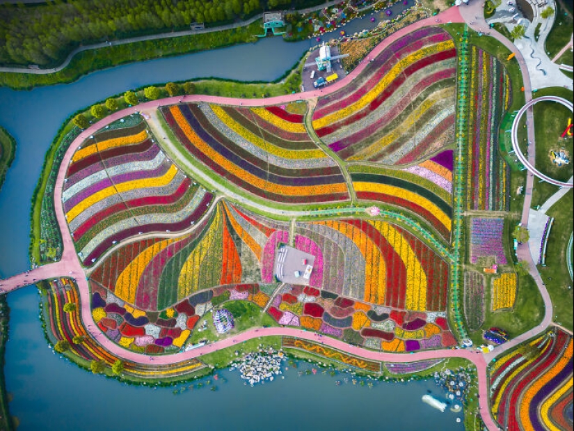 Mis 14 fotografías del Holland Flower Park en China Mis 14 fotografías del Holland Flower Park en China