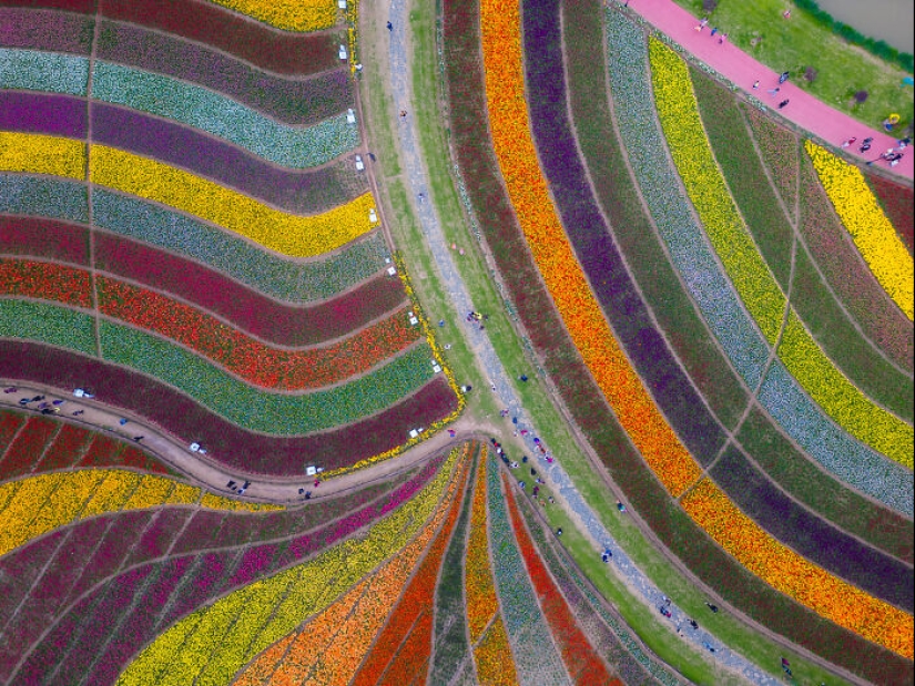 Mis 14 fotografías del Holland Flower Park en China Mis 14 fotografías del Holland Flower Park en China