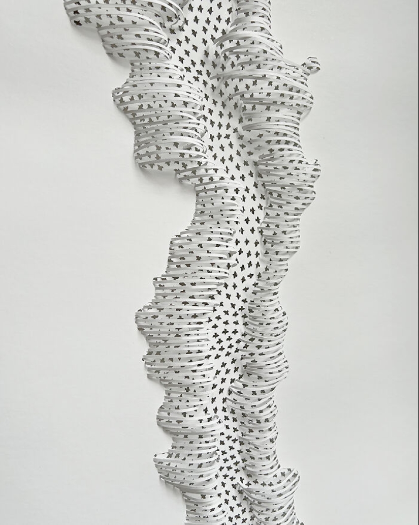 Mis diseños tallados a mano en papel inspirados en elementos naturales