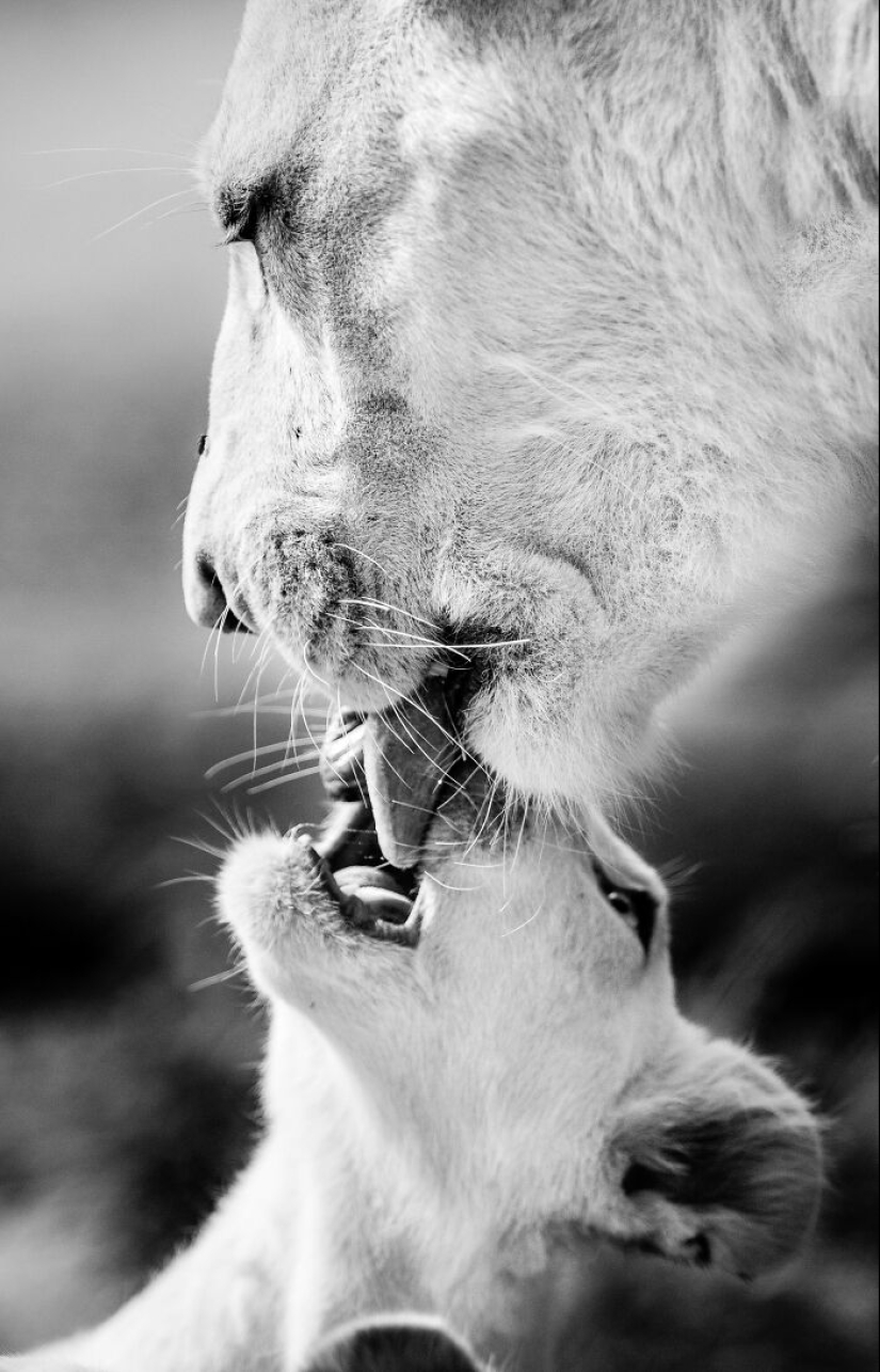Mis fotografías favoritas en blanco y negro que he tomado en los últimos 18 años Mis fotografías favoritas en blanco y negro que he tomado en los últimos 18 años