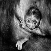 Mis fotografías favoritas en blanco y negro que he tomado en los últimos 18 años