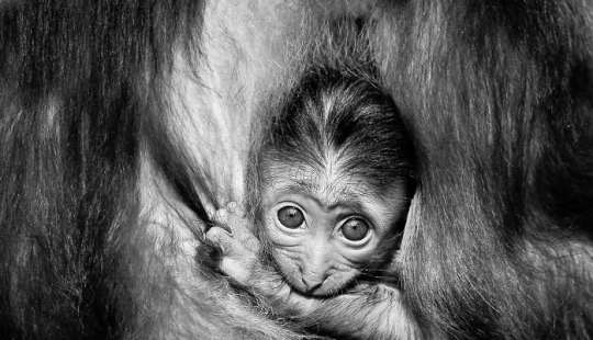 Mis fotografías favoritas en blanco y negro que he tomado en los últimos 18 años Mis fotografías favoritas en blanco y negro que he tomado en los últimos 18 años