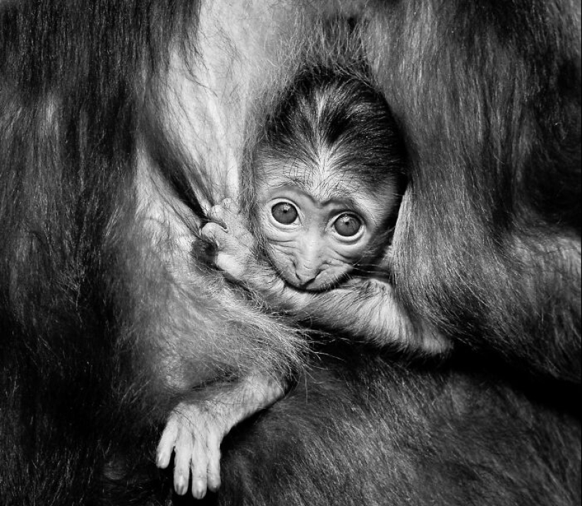 Mis fotografías favoritas en blanco y negro que he tomado en los últimos 18 años Mis fotografías favoritas en blanco y negro que he tomado en los últimos 18 años