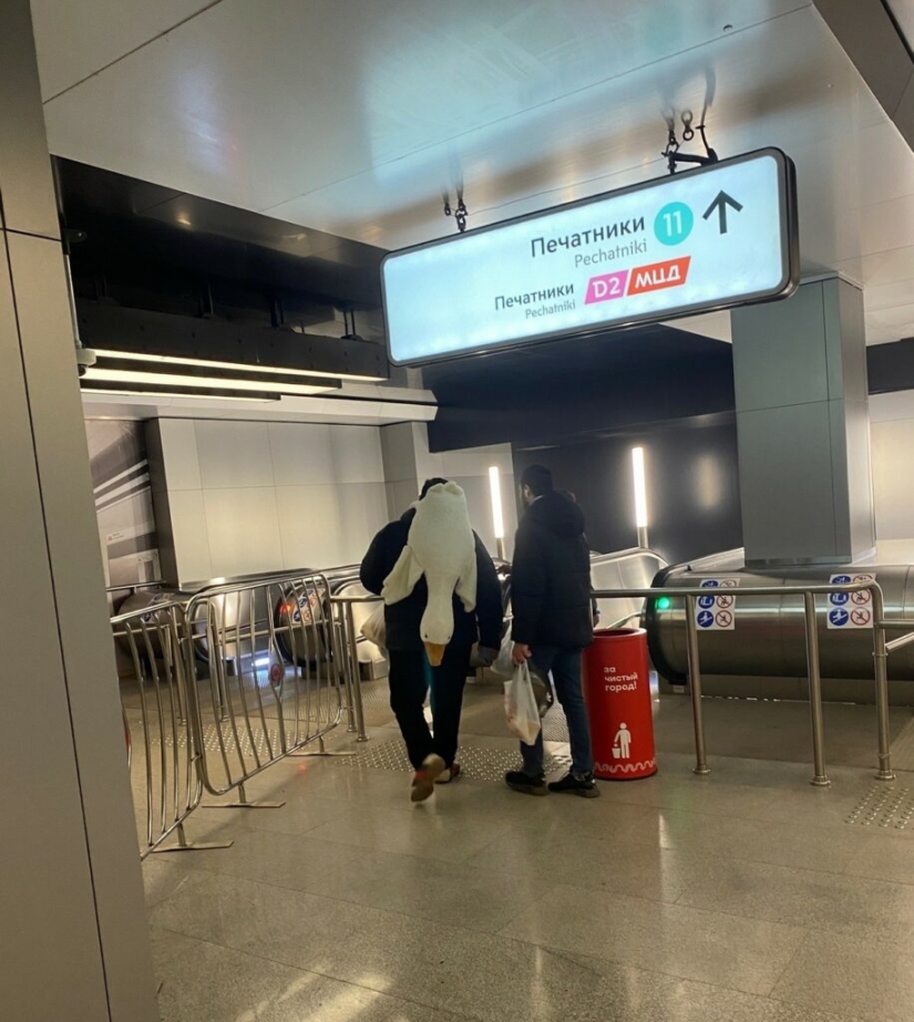 Mods and eccentrics from the metro Mods and eccentrics from the metro