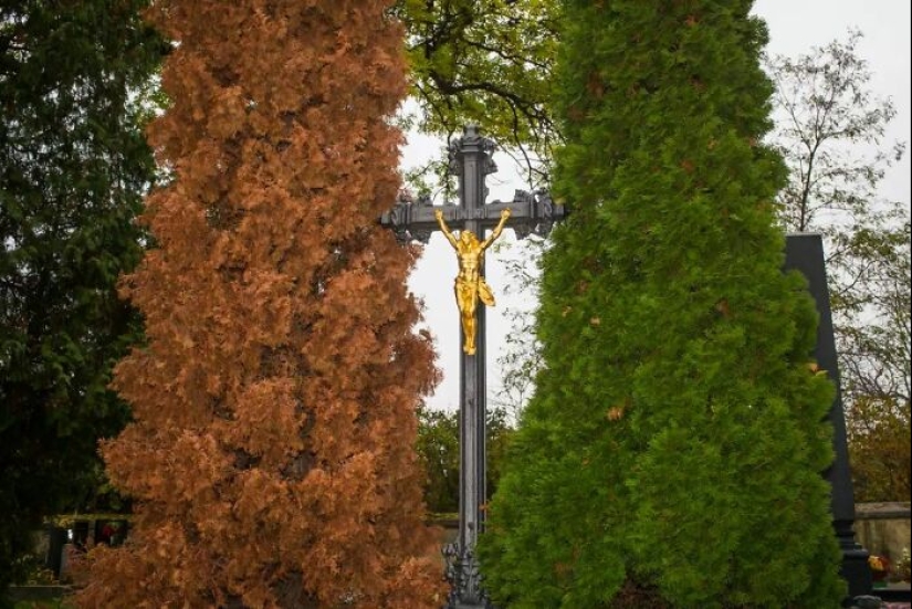 Momentos divertidos y accidentales capturados por este fotógrafo callejero Momentos divertidos y accidentales capturados por este fotógrafo callejero