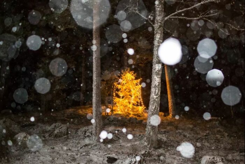 Momentos divertidos y accidentales capturados por este fotógrafo callejero Momentos divertidos y accidentales capturados por este fotógrafo callejero