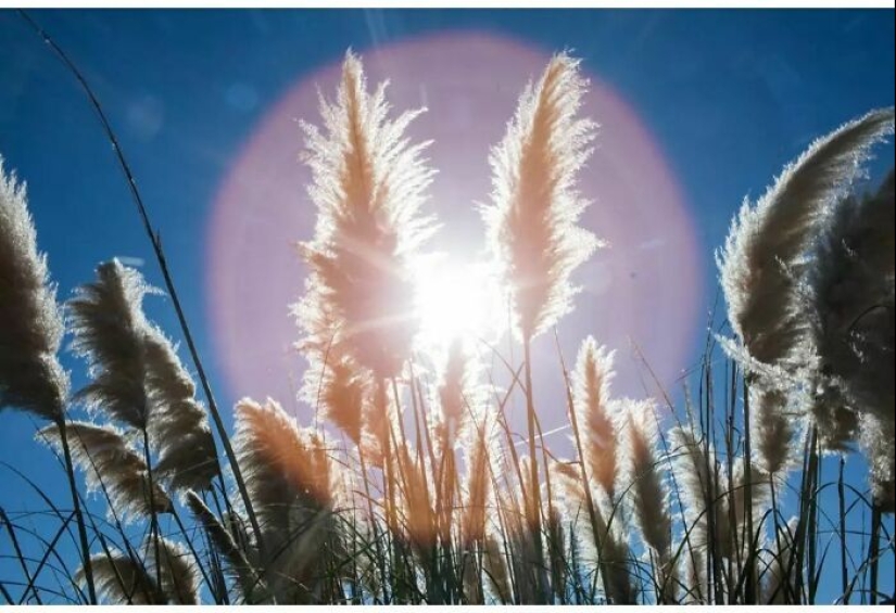 Momentos divertidos y accidentales capturados por este fotógrafo callejero Momentos divertidos y accidentales capturados por este fotógrafo callejero