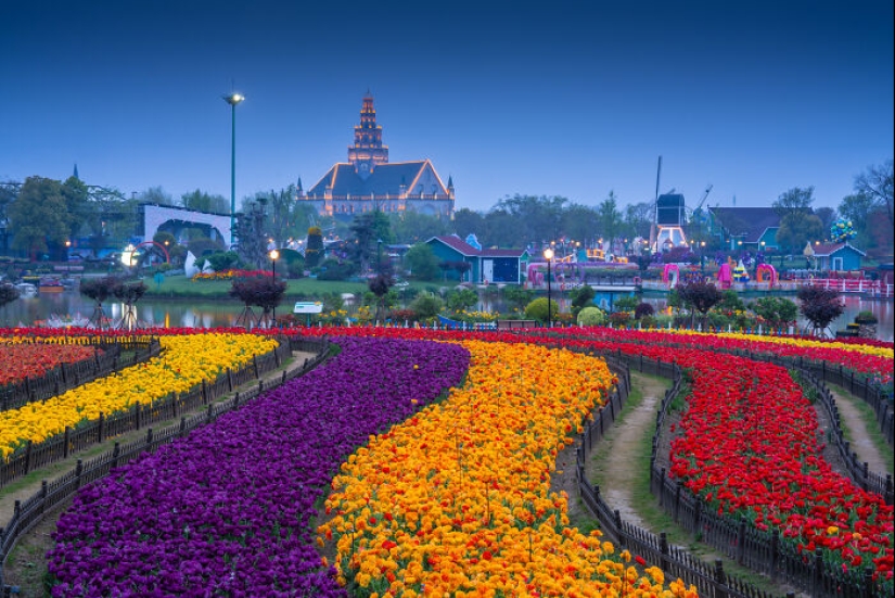 My 14 Photographs Of The Holland Flower Park In China