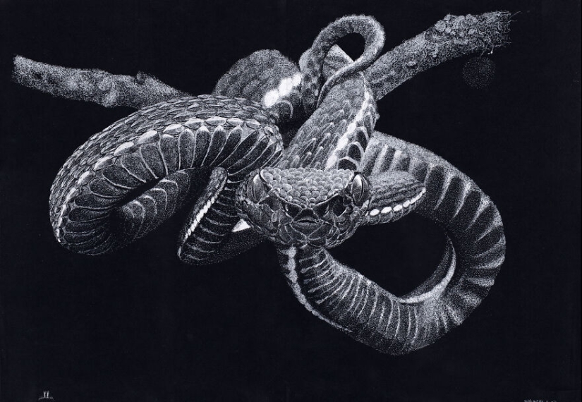 My Daughter Got Me A Black Sketchbook Years Ago, Here Are 23 New White Pen Drawings That I Made