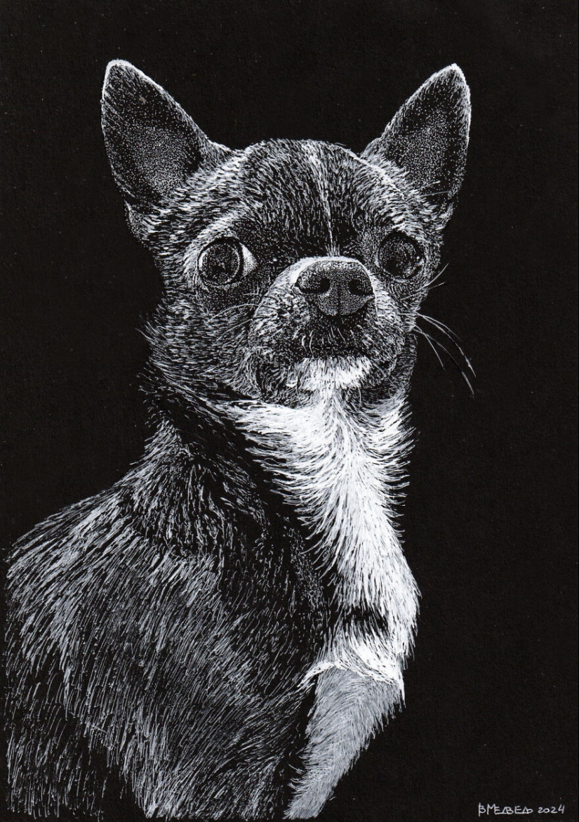 My Daughter Got Me A Black Sketchbook Years Ago, Here Are 23 New White Pen Drawings That I Made