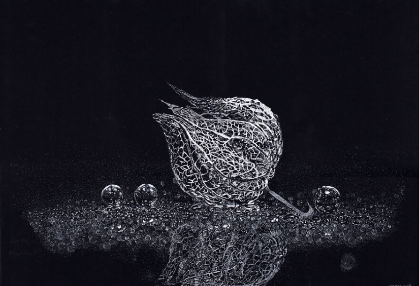 My Daughter Got Me A Black Sketchbook Years Ago, Here Are 23 New White Pen Drawings That I Made