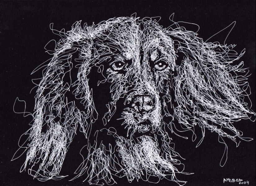 My Daughter Got Me A Black Sketchbook Years Ago, Here Are 23 New White Pen Drawings That I Made