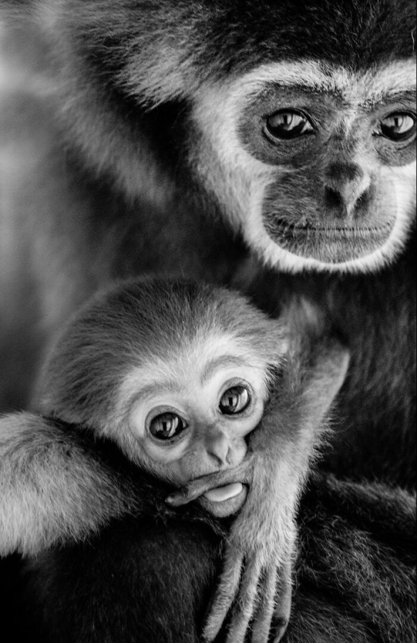 My Favorite Black-And-White Photos I’ve Taken In The Last 18 Years My Favorite Black-And-White Photos I’ve Taken In The Last 18 Years