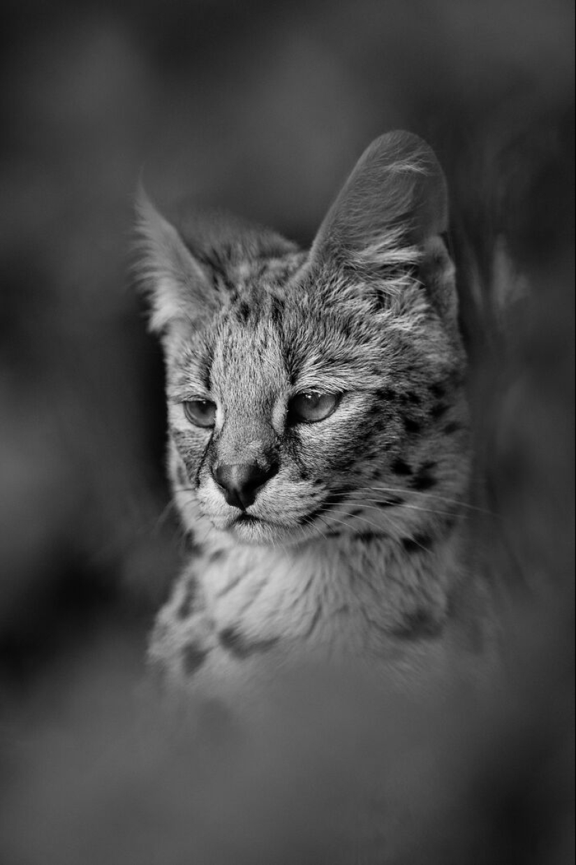 My Favorite Black-And-White Photos I’ve Taken In The Last 18 Years My Favorite Black-And-White Photos I’ve Taken In The Last 18 Years