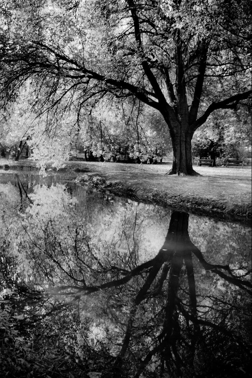 My Favorite Black-And-White Photos I’ve Taken In The Last 18 Years My Favorite Black-And-White Photos I’ve Taken In The Last 18 Years