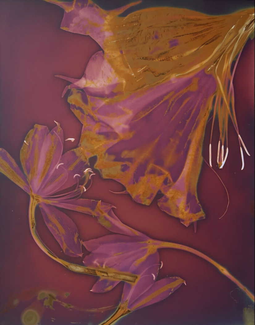 “My Heart Exposed”: An Emotional Journey Through Experimental Photography With Carolyn Moore