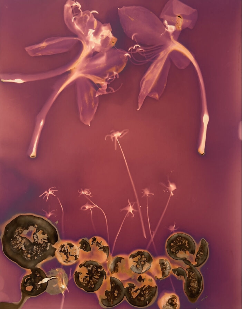 “My Heart Exposed”: An Emotional Journey Through Experimental Photography With Carolyn Moore