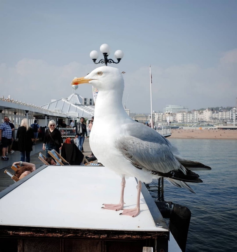 Mystic inesperado de la calle fotografías de vacaciones. Nticas