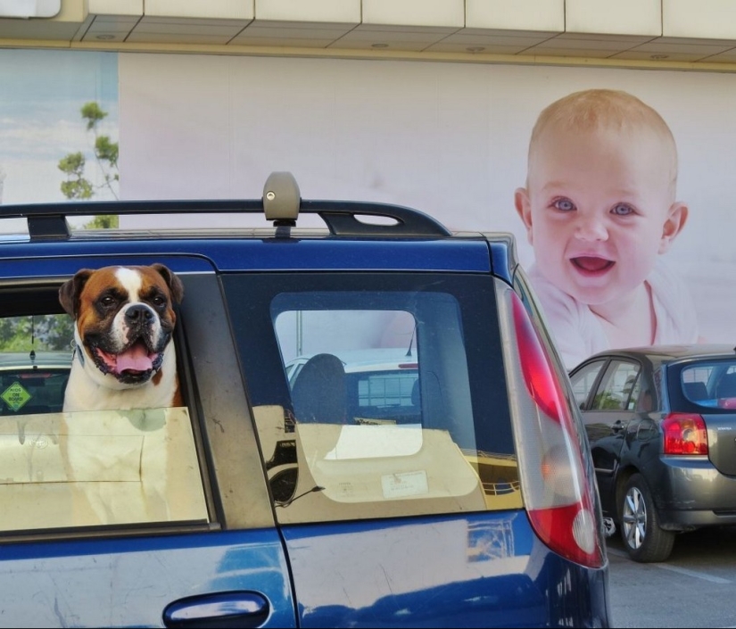 Mystic unexpected street photographs of holidays. Nticas