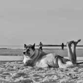 Mystic unexpected street photographs of holidays. Nticas