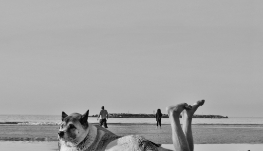 Mystic unexpected street photographs of holidays. Nticas