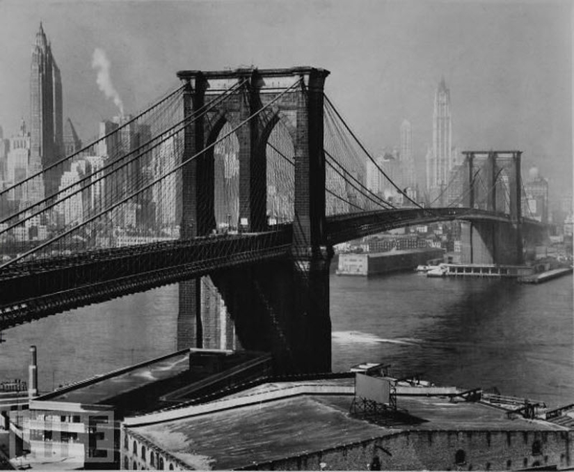 Nessie and 20 other Great hoaxes