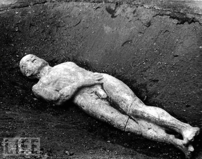 Nessie and 20 other Great hoaxes