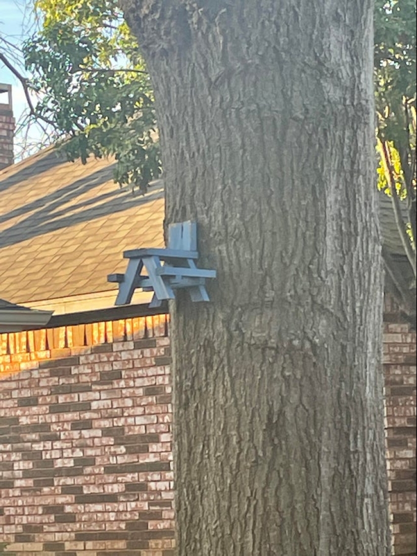 Neumococo de felpa y otras 22 curiosidades que pocas personas han visto