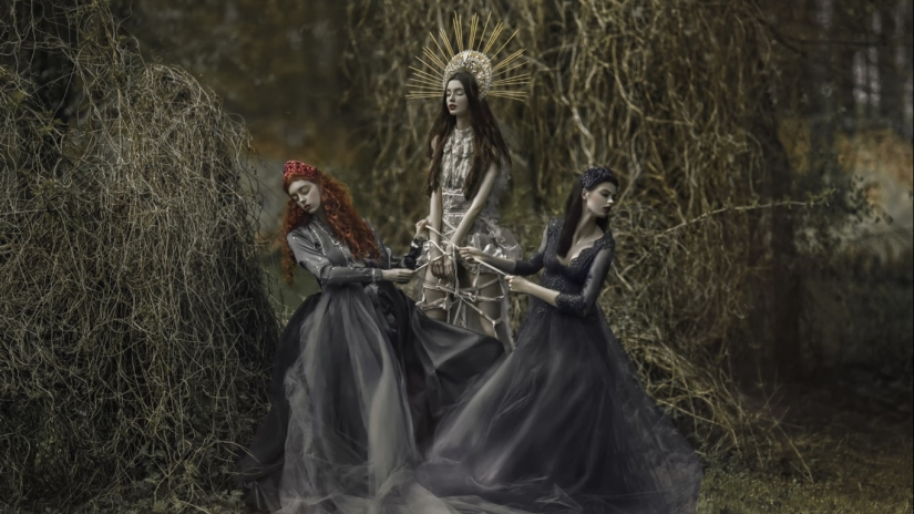 Ninfas del bosque de los mundos mágicos de Lamb Lorek Ninfas del bosque de los mundos mágicos de Lamb Lorek