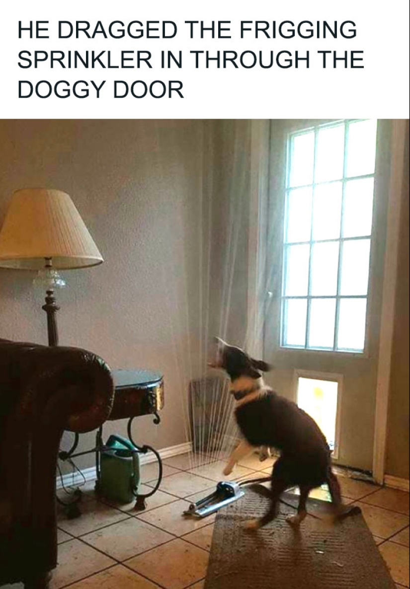 “No ayudes, sigue filmando”: 10 ocasiones en las que la gente debería haber ayudado a alguien en problemas