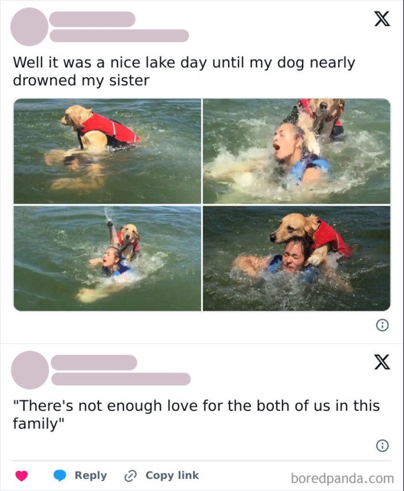 “No ayudes, sigue filmando”: 10 ocasiones en las que la gente debería haber ayudado a alguien en problemas