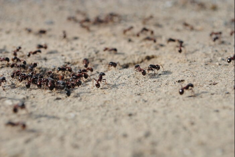“No como lo último de nada”: 15 hábitos que la gente mantuvo desde sus días pobres