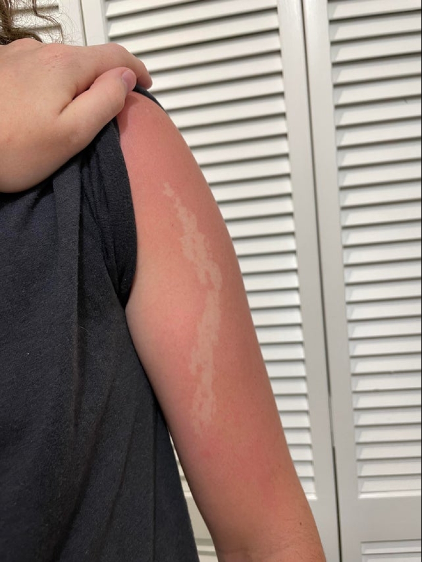 No como todos los demás: 22 fotos de personas únicas, como si llegaran de otro planeta No como todos los demás: 22 fotos de personas únicas, como si llegaran de otro planeta