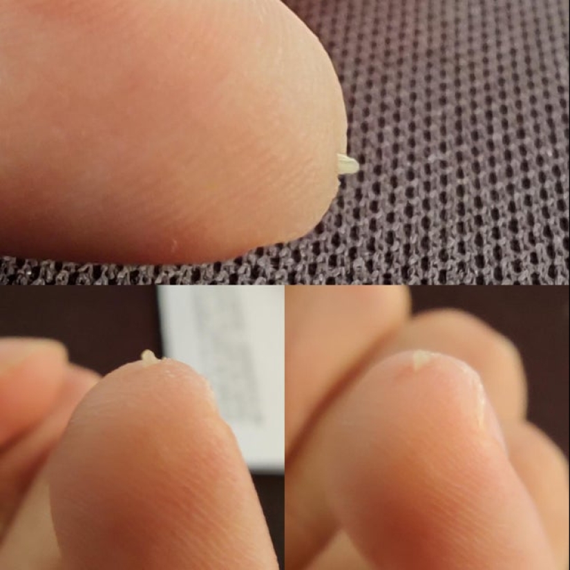 No como todos los demás: 22 fotos de personas únicas, como si llegaran de otro planeta No como todos los demás: 22 fotos de personas únicas, como si llegaran de otro planeta