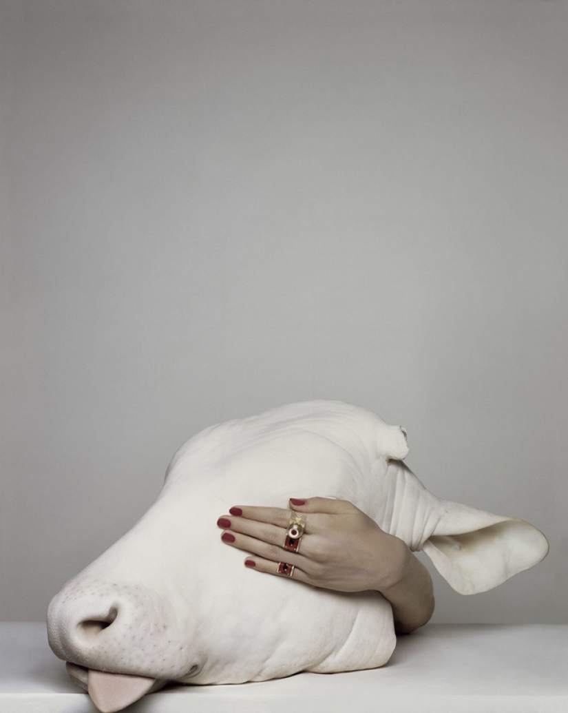 Obras extraordinarias de la fotógrafa de glamour Brigitte Niedermayer Obras extraordinarias de la fotógrafa de glamour Brigitte Niedermayer