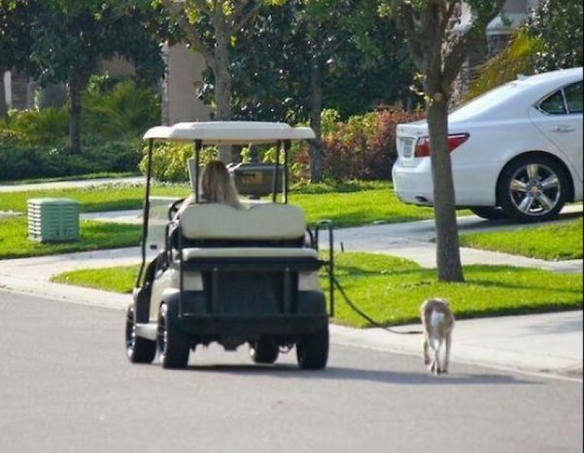 On the verge of genius: 22 examples of astounding laziness On the verge of genius: 22 examples of astounding laziness