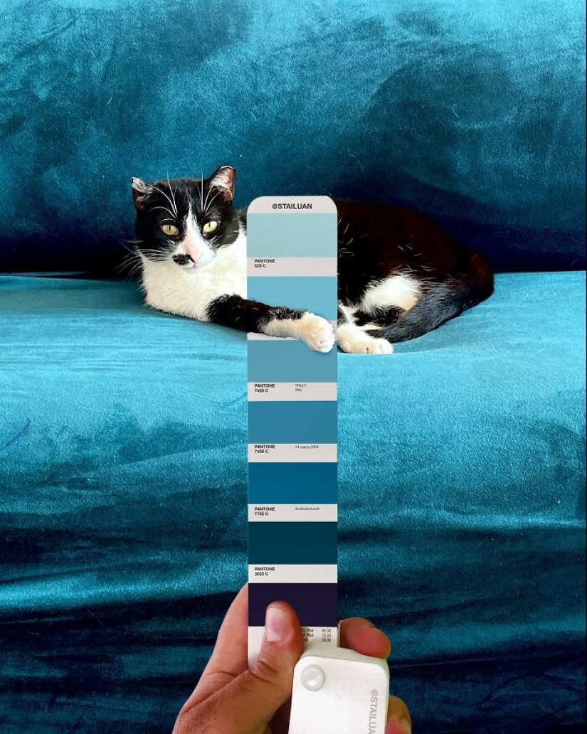 Pantone In The Wild: Designer Matches Pantone Colors To Natural Landscapes And Cities