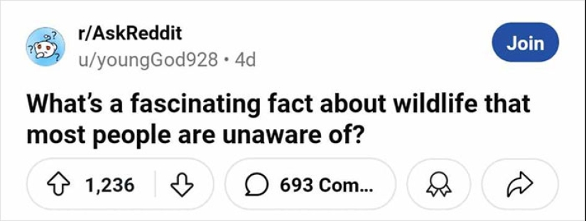 People Share Interesting Wildlife Facts That Not A Lot Of People Know, Here Are The 10 Best Ones