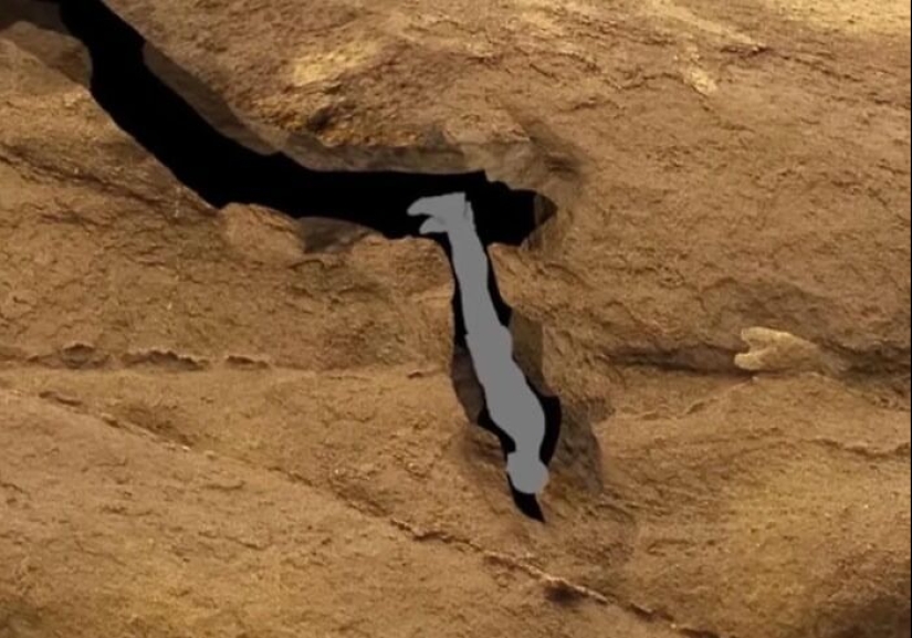 People Share Pictures That Make Others ‘Suffer’, And It Gets Worse The More You Look At Them