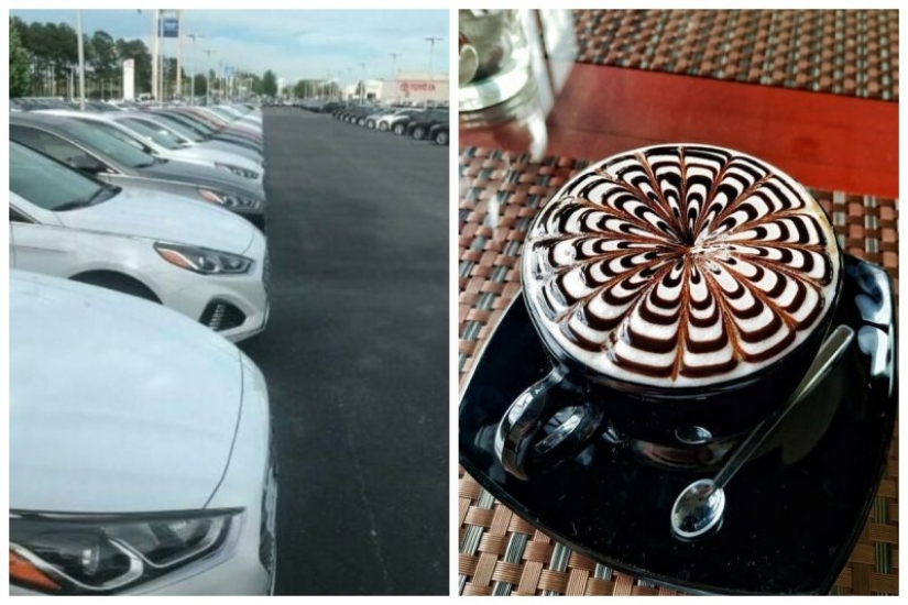 Perfect to the point of outrage: 25 photos that will delight perfectionists Perfect to the point of outrage: 25 photos that will delight perfectionists