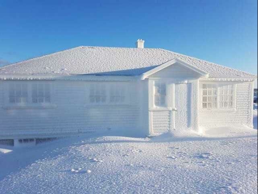 Perfect to the point of outrage: 25 photos that will delight perfectionists Perfect to the point of outrage: 25 photos that will delight perfectionists